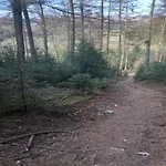 Wellness Escape In Bellevaux *