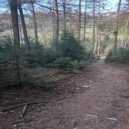 Wellness Escape In Bellevaux *