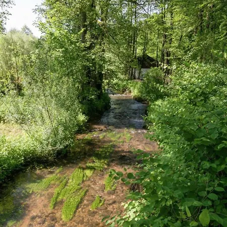 Wellness Escape In Bellevaux Malmedy