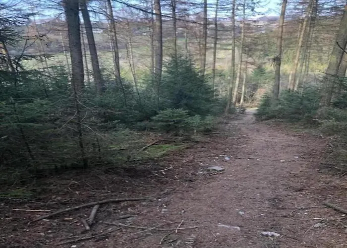 Wellness Escape In Bellevaux *