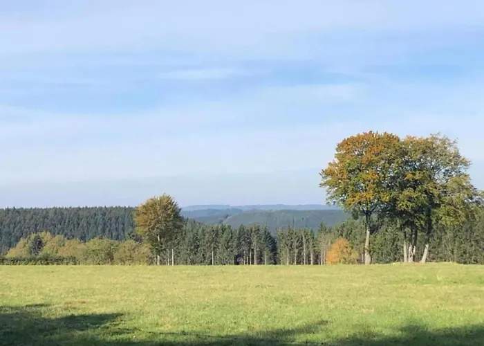 Wellness Escape In Bellevaux Prázdninový dům *