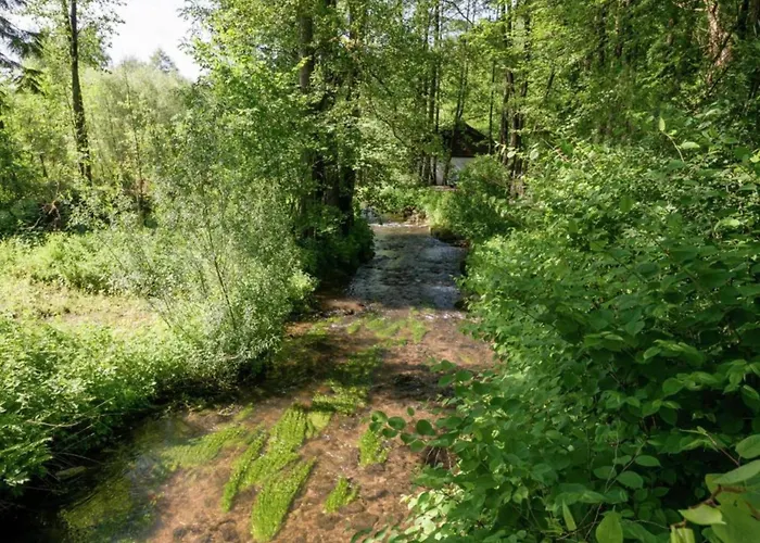 Wellness Escape In Bellevaux Malmedy